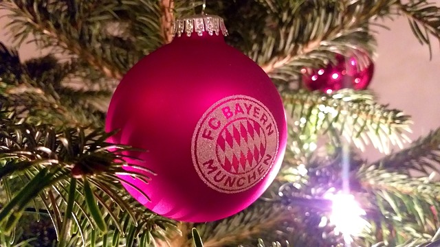 功向世人揭 功向世人揭