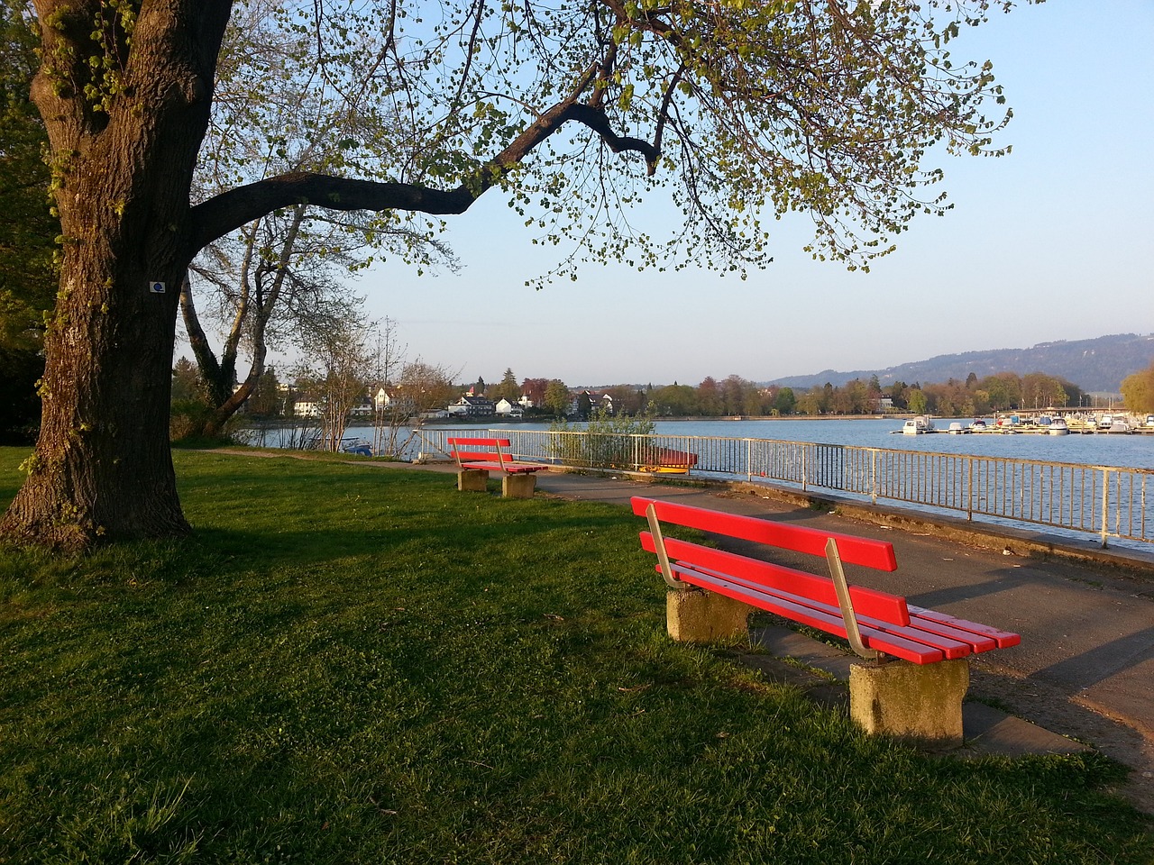 从心理学角 从心理学角