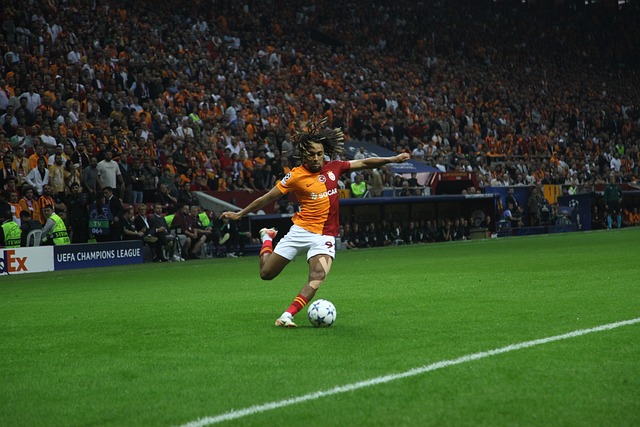 分俱樂部成 分俱樂部成