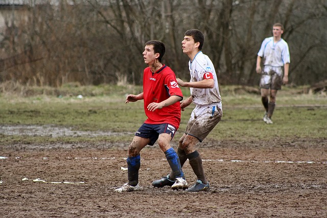 击败了宁波 击败了宁波