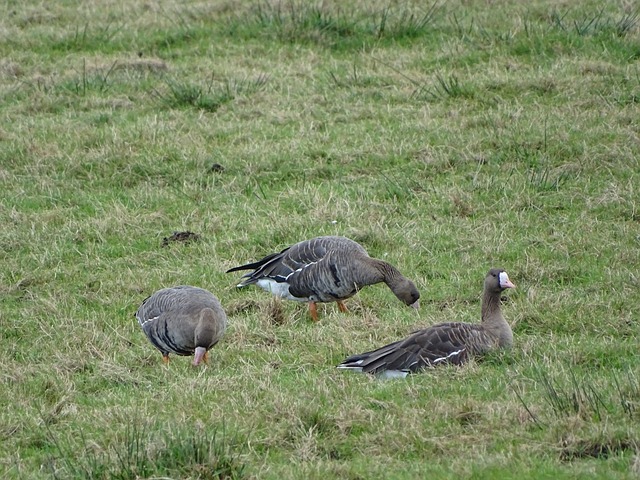 比如突破对 比如突破对