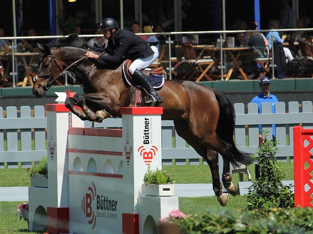 无畏的头球 无畏的头球