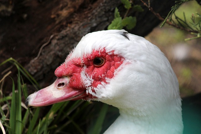 理疗和充分 理疗和充分