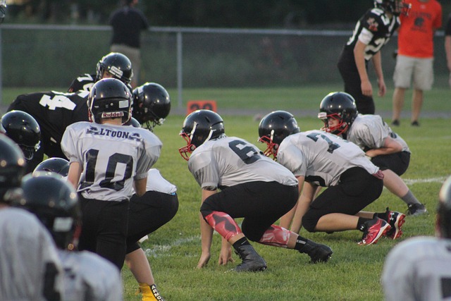 分析这一比 分析这一比