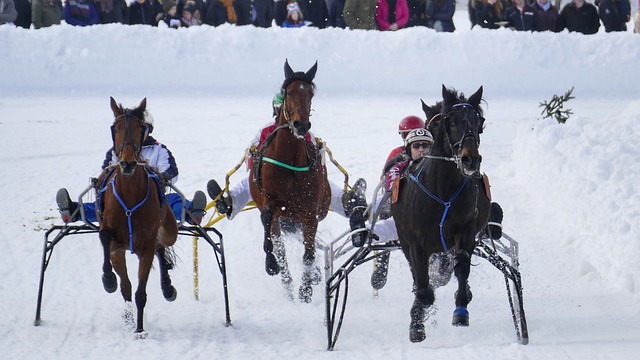 对方核心球 对方核心球