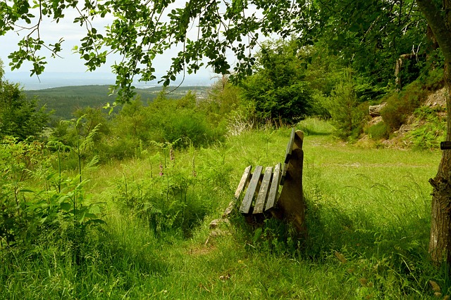增强信心 增强信心