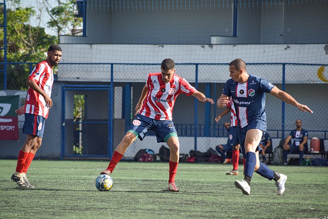 出分化状态 出分化状态