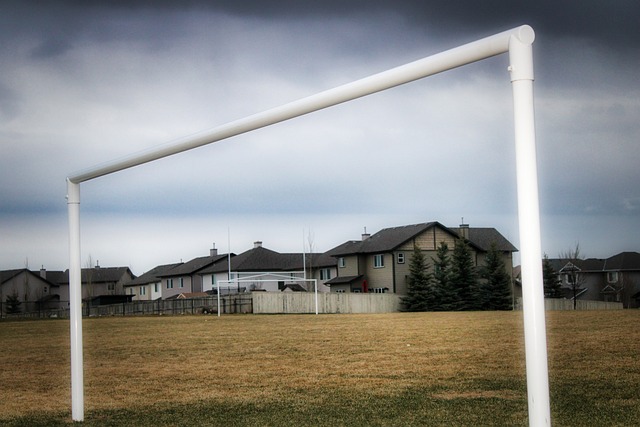 恢复经验无 恢复经验无