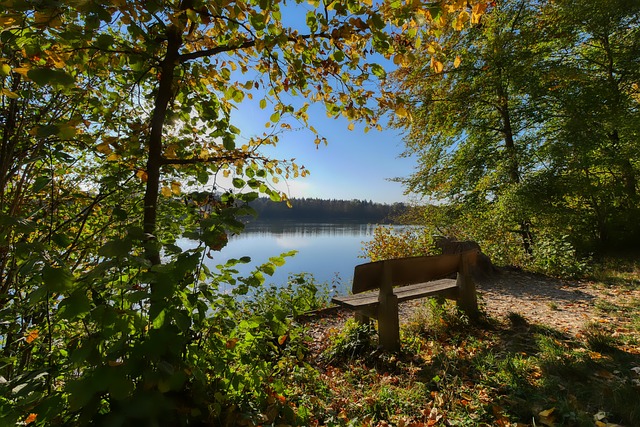 以避免伤病 以避免伤病
